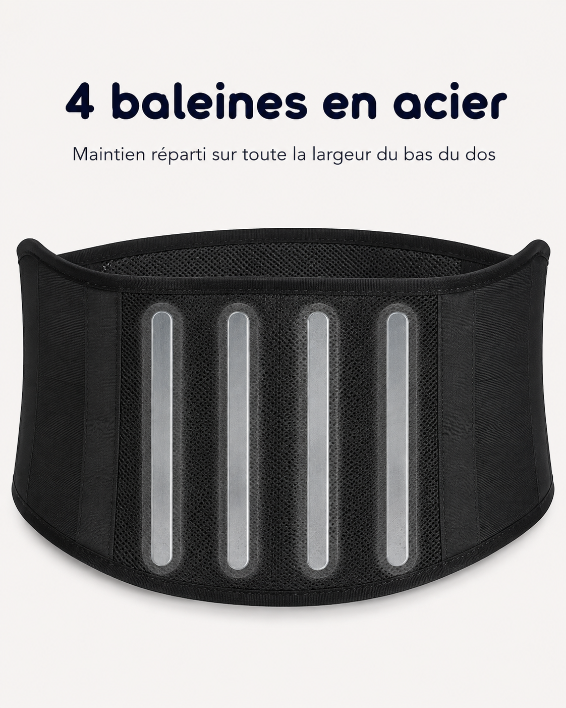 Les quatre baleines en acier de la ceinture lombaire, réparties dans le dos