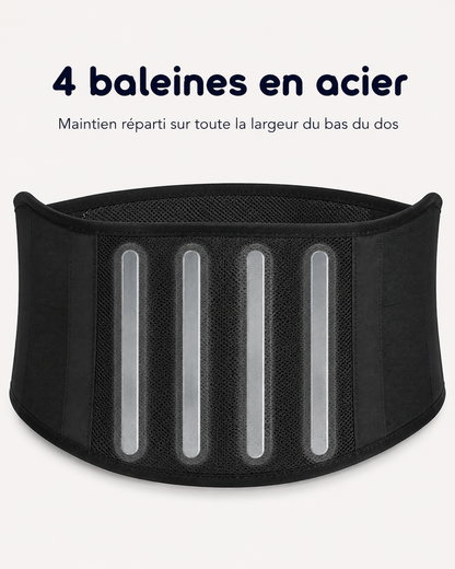 Les quatre baleines en acier de la ceinture lombaire, réparties dans le dos