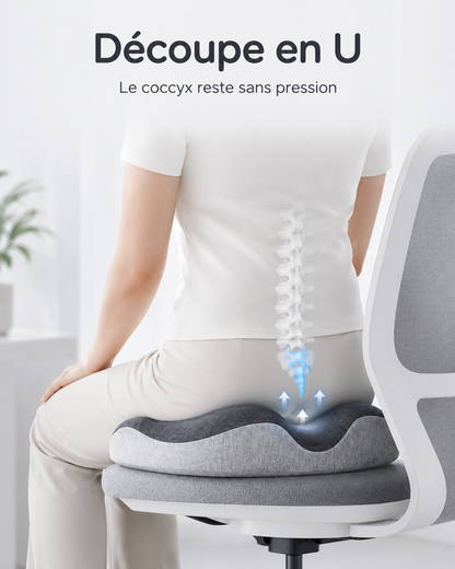 Coussin Coccyx Soutien Lombaire Intégré