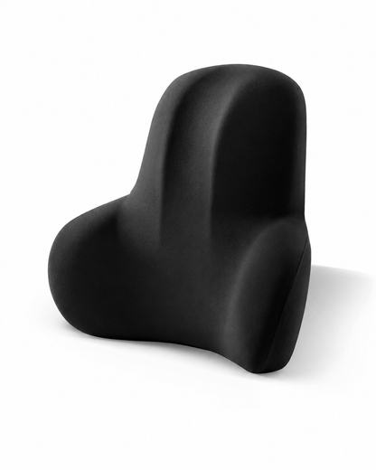 Coussin Lombaire et Siège 2 en 1 Posture