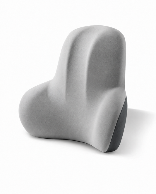 Coussin Lombaire et Siège 2 en 1 Posture